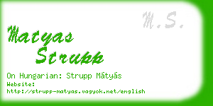 matyas strupp business card